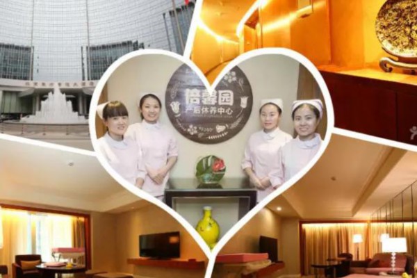 上海新风尚：揭秘后花园隐秘茶室之旅